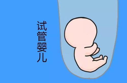 助孕包生男孩服务